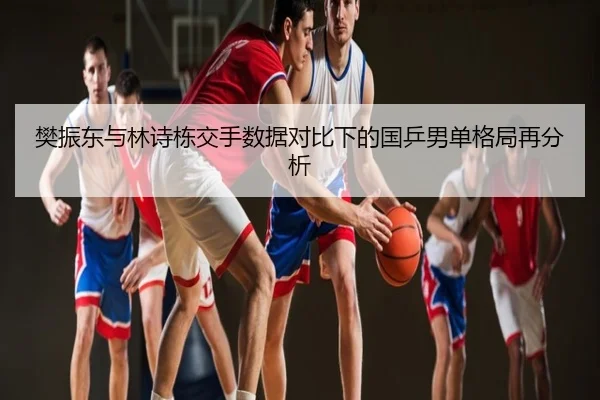 樊振东与林诗栋交手数据对比下的国乒男单格局再分析