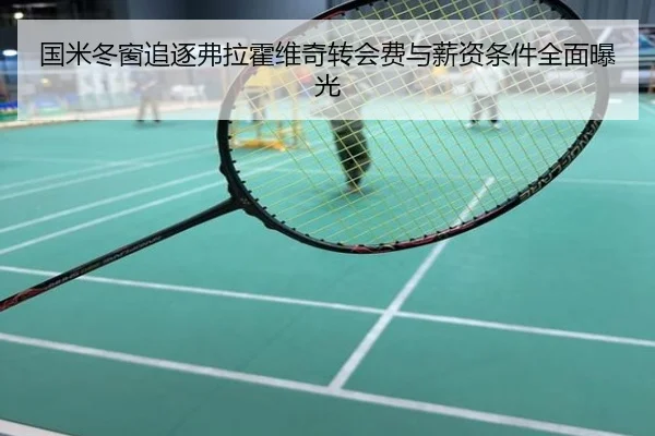 国米冬窗追逐弗拉霍维奇转会费与薪资条件全面曝光