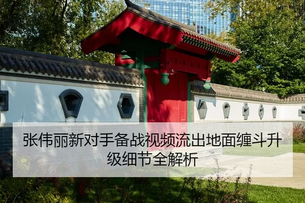 张伟丽新对手备战视频流出地面缠斗升级细节全解析